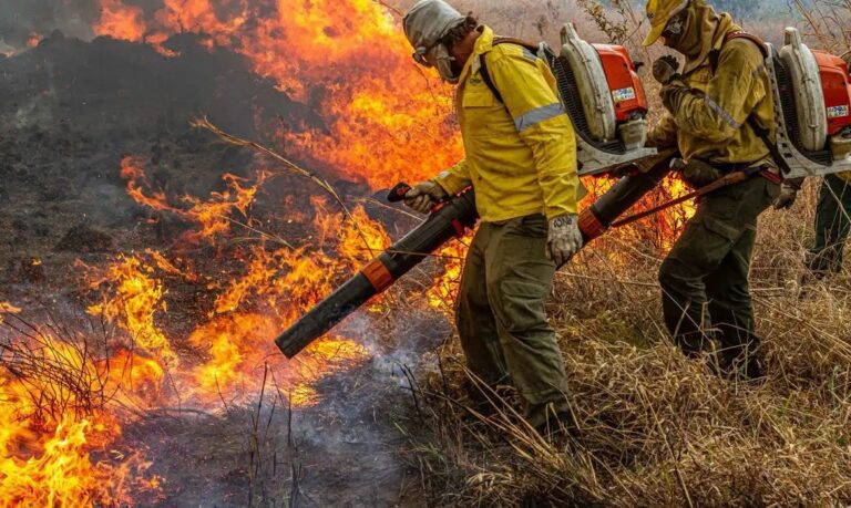 Governo destina R$ 337 milhões para combater desmatamento e incêndios