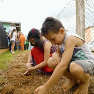 Projeto escolar rural transforma quintais em espaços de aprendizado