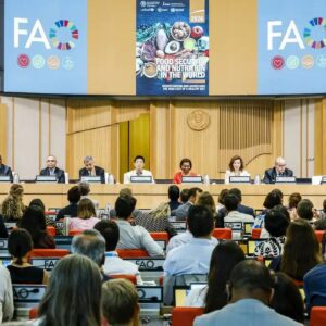 Brasil permanece fora do Mapa da Fome da ONU em 2026