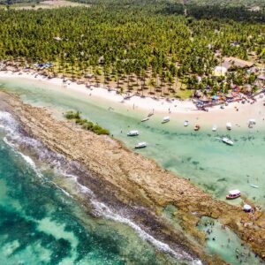 Estudo revela que ruído humano prejudica comunicação sonora de peixes