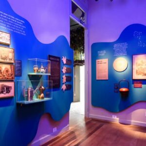 Exposição O Tempo das Plantas convida à reflexão no Jardim Botânico