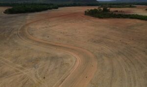 Fim da Moratória da Soja ameaça desmatar 1,4 milhão de hectares na Amazônia