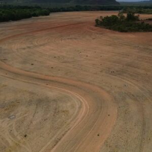 Fim da Moratória da Soja ameaça desmatar 1,4 milhão de hectares na Amazônia