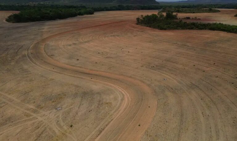 Fim da Moratória da Soja ameaça desmatar 1,4 milhão de hectares na Amazônia