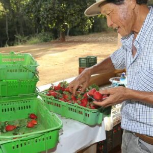 Finep investe R$ 220 milhões em tecnologia para agricultura familiar